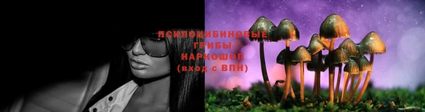 PSILOCYBIN Балахна