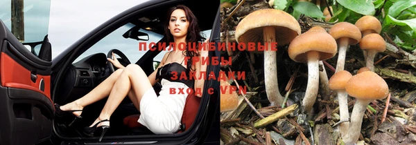 PSILOCYBIN Балахна